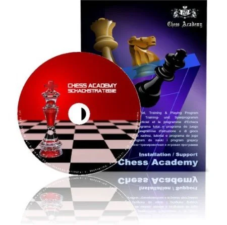 Home 13 CHESS ACADEMY EBOOK+ MODERN CHESS STRATEGY